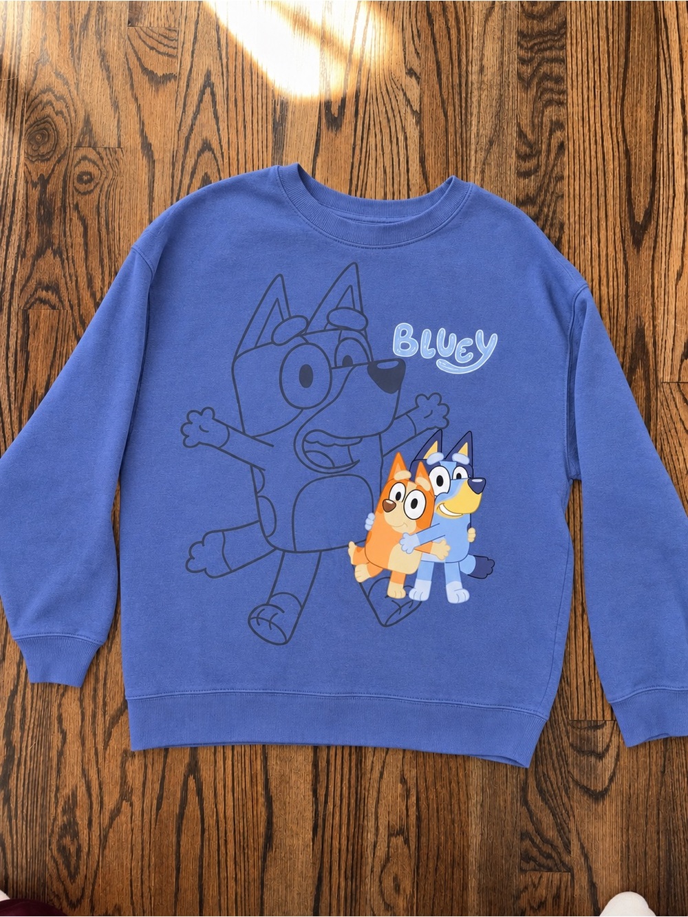 Women’s Bluey Graphic Crewneck Sweatshirt